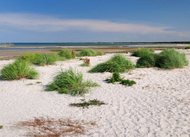 Güzel güneşli bir yaz gününde açık mavi bir gökyüzü ve birkaç bulutla Almanya
