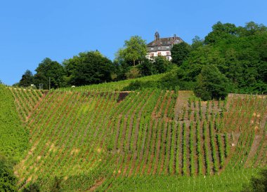 Bernkastel-Kues Almanya 'da, açık mavi gökyüzü ile güneşli bir yaz gününde, üzüm bağının yukarısındaki büyüleyici bir kır evi.