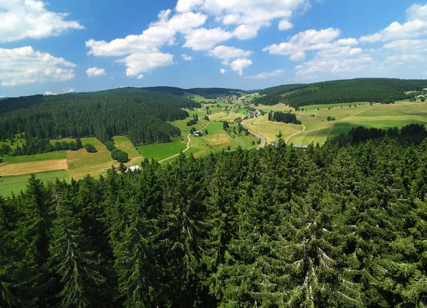 Vista Hermoso Paisaje Selva Negra Desde Plataforma Observación Torre Riesenbuehlturm — Foto de Stock