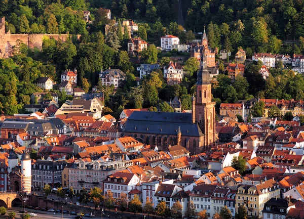 Vista Para Cidade Velha Famosa Catedral Heidelberg Alemanha Belo Dia — Fotografia de Stock