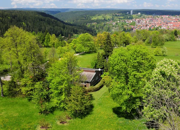 Blick Vom Aussichtsturm Friedrichsturm Auf Den Kienberg Nach Freudenstadt Schwarzwald — Stockfoto