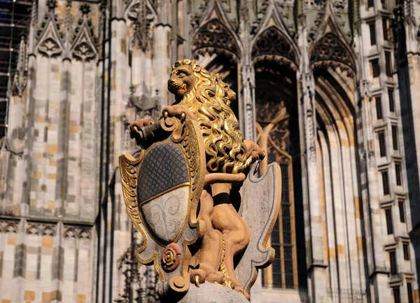 Sculptura Unui Leu Aur Fața Faimoasei Catedrale Ulmer Muenster Din — Fotografie, imagine de stoc