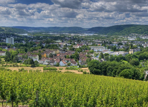 Uitzicht Van Petrisberg Naar Moezel Rivier Trier Duitsland Een Mooie — Stockfoto