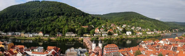 Panorama Vista Catedral Heidelberg Para Antiga Ponte Neckar Alemanha Belo — Fotografia de Stock