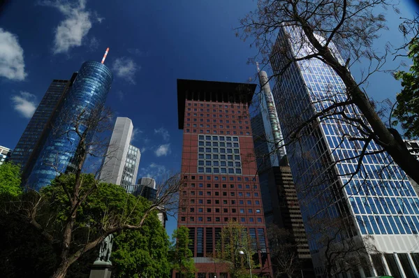 Vista Abajo Hacia Arriba Desde Taunusanlage Park Hasta Rascacielos Distrito — Foto de Stock