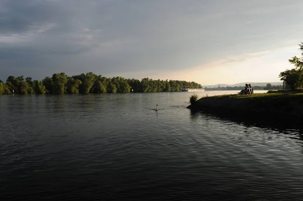 Folk Som Sitter Bänk Vid Floden Rhen Och Tittar Solnedgången — Stockfoto