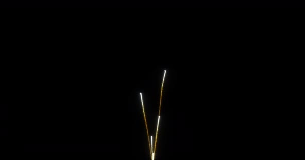 Echte Vuurwerk Display Feestelijk Kleurrijk Vuurwerk Resolutie Voor Nieuwjaar — Stockvideo