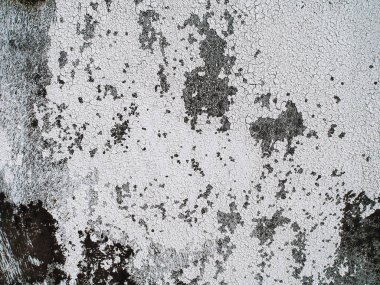 Güzel, soyut, pis, sıska duvar arkaplanı soğuk bir ruh halinde. Metin için alanı olan yılın Pantone renk arkaplanı.