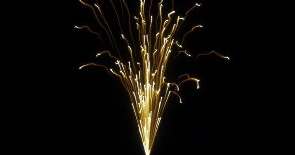本物の花火大会のお祝い 新年の4K解像度でカラフルな花火 — ストック動画