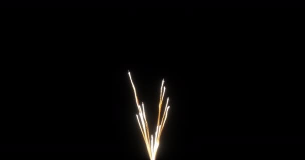 Festeggiamenti Dello Spettacolo Pirotecnico Reale Fuochi Artificio Colorati Risoluzione Nuovo — Video Stock