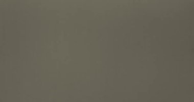 Havada yüzen gerçek toz parçacıkları. Toz Parçacıkları Arkaplanı. Makro yavaş çekim, karıştırma kipi kullan (ekran)