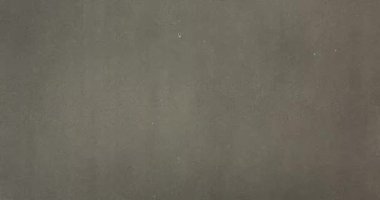 Havada yüzen gerçek toz parçacıkları. Toz Parçacıkları Arkaplanı. Makro yavaş çekim, karıştırma kipi kullan (ekran)