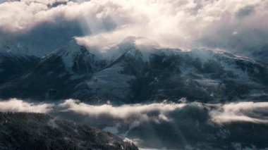 Havada yüzen gerçek toz parçacıkları. Toz Parçacıkları Arkaplanı. Makro yavaş çekim, karıştırma kipi kullan (ekran)