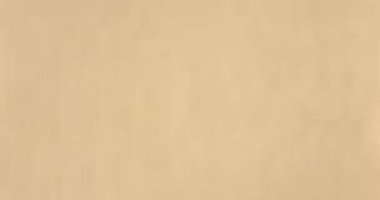 Havada yüzen gerçek toz parçacıkları. Toz Parçacıkları Arkaplanı. Makro yavaş çekim, karıştırma kipi kullan (ekran)