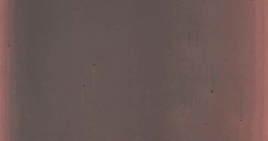 Havada yüzen gerçek toz parçacıkları. Toz Parçacıkları Arkaplanı. Makro yavaş çekim, karıştırma kipi kullan (ekran)