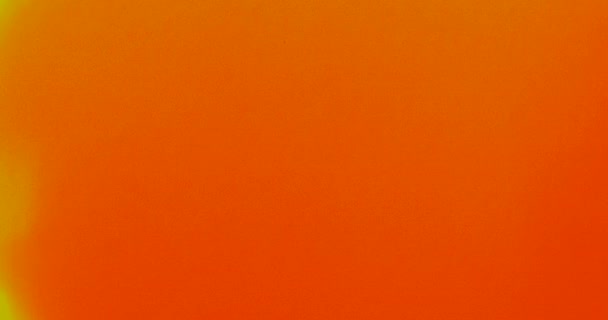 Выстрел Настоящих Пылевых Частиц Плавающих Воздухе Фон Частиц Пыли Макро — стоковое видео