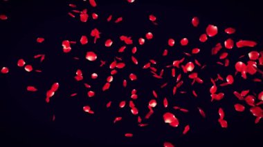 Sevgililer Günü Pembe Kırmızı Animasyon Kalpleri Aşk Kalplerini selamlıyor. Bokeh şenliği, ışıltı, sevgililer günü için kalpler, sevgililer günü, evlilik yıldönümü kusursuz arka plan.