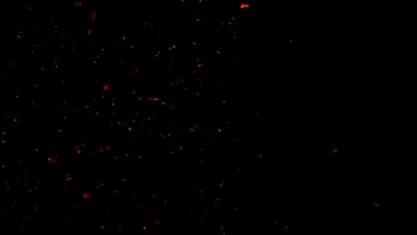 Scintille Rosse Ardenti Sorgono Grande Fuoco Nel Cielo Notturno Bellissimo — Video Stock