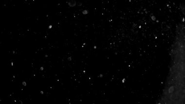 Havada yüzen gerçek toz parçacıkları. Toz Parçacıkları Arkaplanı. Makro yavaş çekim, karıştırma kipi kullan (ekran)