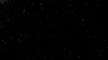 Havada yüzen gerçek toz parçacıkları. Toz Parçacıkları Arkaplanı. Makro yavaş çekim, karıştırma kipi kullan (ekran)