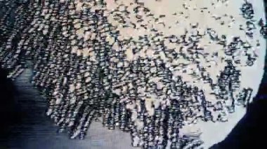 Vintage düğmesi açık, televizyonu kapat. Analog Statik Gürültü dokusu. Tek renkli, siyah-beyaz titreşimli ses. Ekran hasarı TV efektleri ve objeler. VHS. Kötü müdahale.