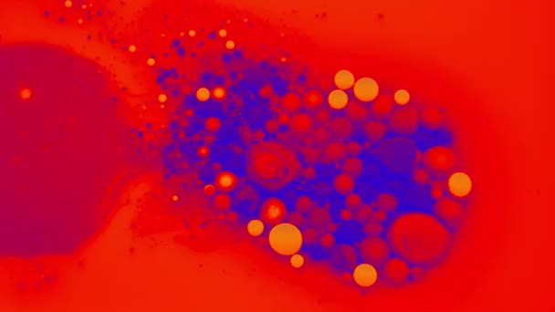 Molécula Dentro Bolha Essência Cosmética Gota Líquida Fundo Ciência Animação — Vídeo de Stock