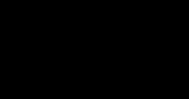 Черно Белый Лидер Фильма Универсальный Обратный Отсчет Обратный Отсчет Эффект — стоковое видео