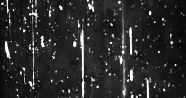 Siyah Beyaz Tek Krom Evrensel Geri Sayım Film Lideri Dan — Stok video