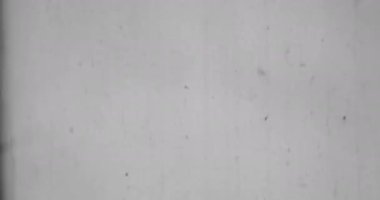 Siyah ve Beyaz, Tek Krom Evrensel Geri sayım Film Lideri. 10 'dan 0' a geri sayım saati. Detaylar, çizikler, işaretler ve tahıllarla dolu eski bir filmin etkisi. Olumsuz makara. Film Yanığı 4K FX Efekti