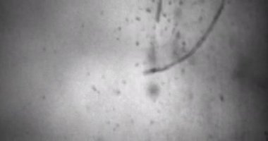 Siyah ve Beyaz, Tek Krom Evrensel Geri sayım Film Lideri. 10 'dan 0' a geri sayım saati. Detaylar, çizikler, işaretler ve tahıllarla dolu eski bir filmin etkisi. Olumsuz makara. Film Yanığı 4K FX Efekti