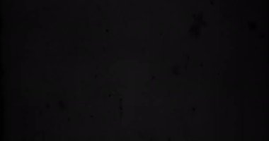 Siyah ve Beyaz, Tek Krom Evrensel Geri sayım Film Lideri. 10 'dan 0' a geri sayım saati. Detaylar, çizikler, işaretler ve tahıllarla dolu eski bir filmin etkisi. Olumsuz makara. Film Yanığı 4K FX Efekti