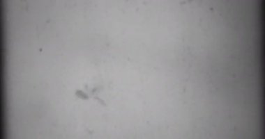 Siyah ve Beyaz, Tek Krom Evrensel Geri sayım Film Lideri. 10 'dan 0' a geri sayım saati. Detaylar, çizikler, işaretler ve tahıllarla dolu eski bir filmin etkisi. Olumsuz makara. Film Yanığı 4K FX Efekti