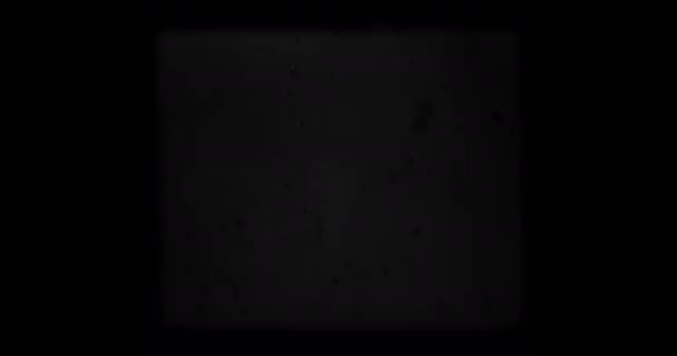 Черно Белый Лидер Фильма Универсальный Обратный Отсчет Обратный Отсчет Эффект — стоковое видео