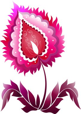 Beyaz arkaplanda izole edilmiş pembe çiçek