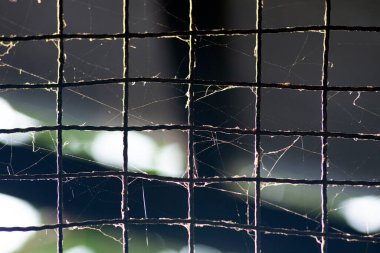 Cobwebs on old chain fence panel looks mysterious for background.