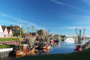 karides kesici harbor