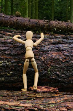 ahşap bebek ağaca tırmanmak