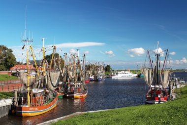 schrimp kesici harbor
