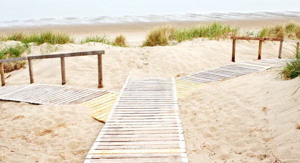 Plank in zand — Stockfoto