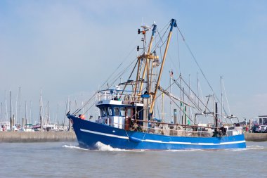 crabber Denizi