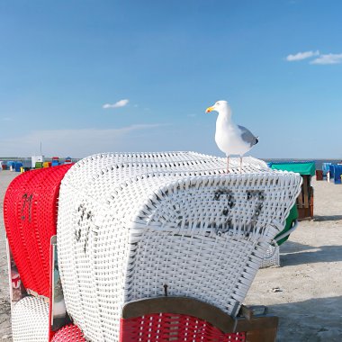 Beach chairs with seagull clipart