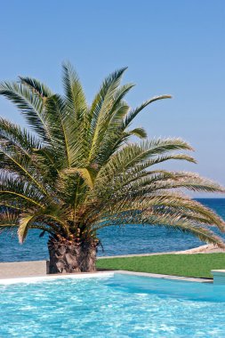 Sahilde otel havuz