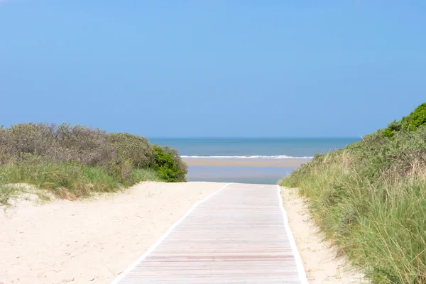 Pasarela de madera a la playa entre dunas — Foto de Stock