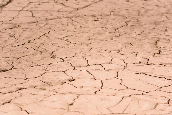 Dry Cracked Desert Ground Texture Close — Stock Photo, Image