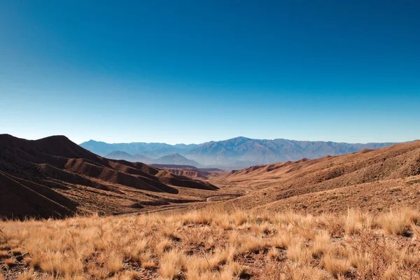 アルゼンチンのメンドーサ州トゥプンガト近くのアンデス山脈による草原地帯を避ける — ストック写真