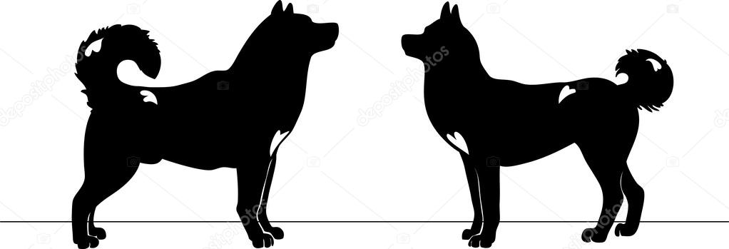 Two dogs love silhouettes