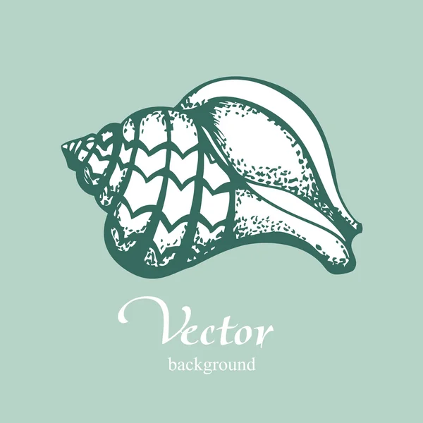 Vintage shell on blue background — Stock Vector