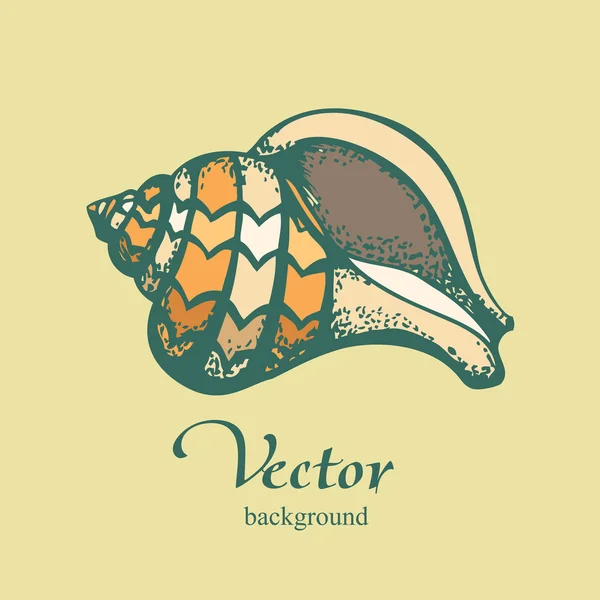 Vintage shell on beige background — Stock Vector