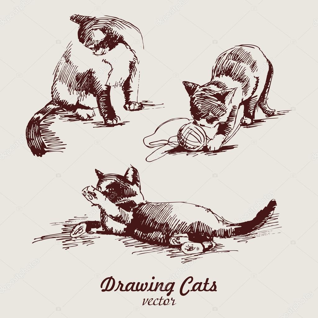 Hand drawn cat