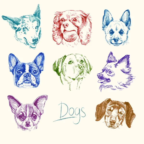 Chiens - ensemble dessiné à la main — Image vectorielle